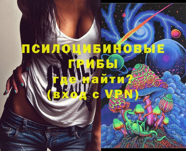 спиды Богданович