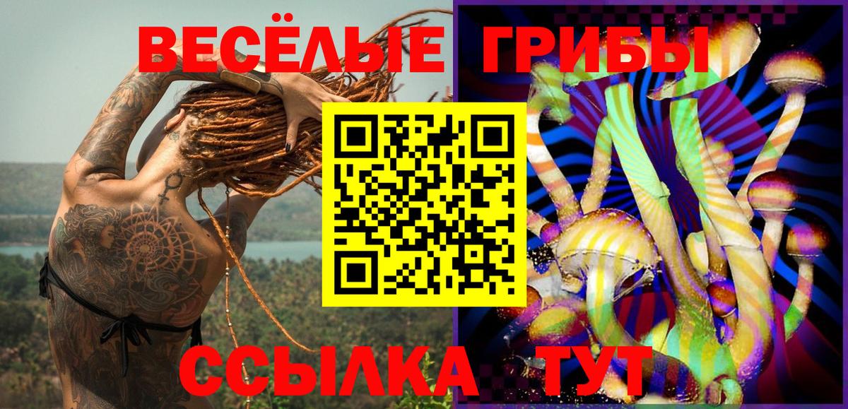 Галлюциногенные грибы Cubensis Городец